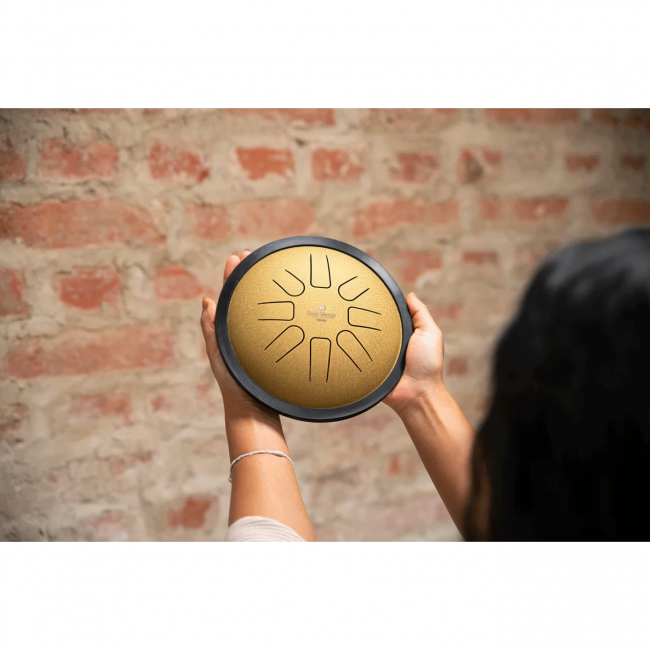 MEINL Sonic Energy Small Steel Tongue Drum C Minor