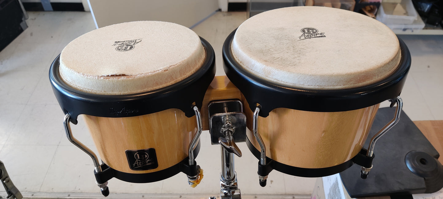LP bongorummut (used)