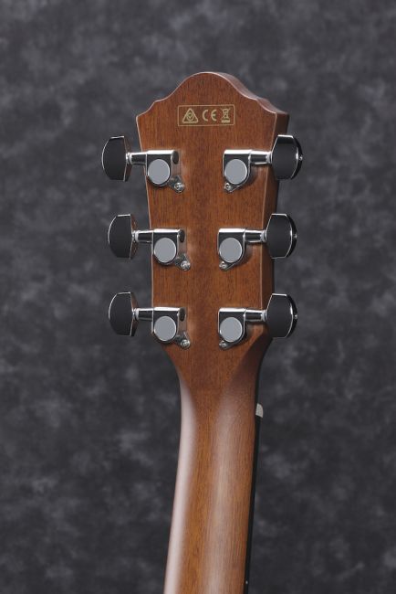 Ibanez AEWC11-TCB - Aron Soitin
