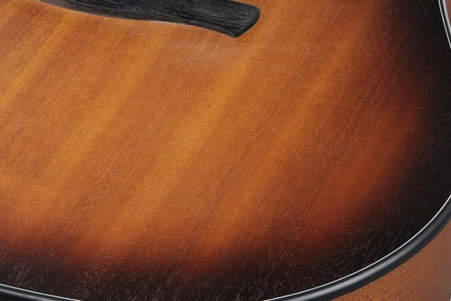 Ibanez AAD54E-OMH
