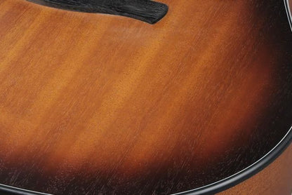 Ibanez AAD54E-OMH