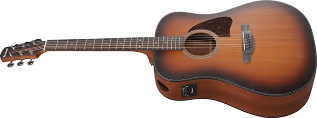 Ibanez AAD54E-OMH