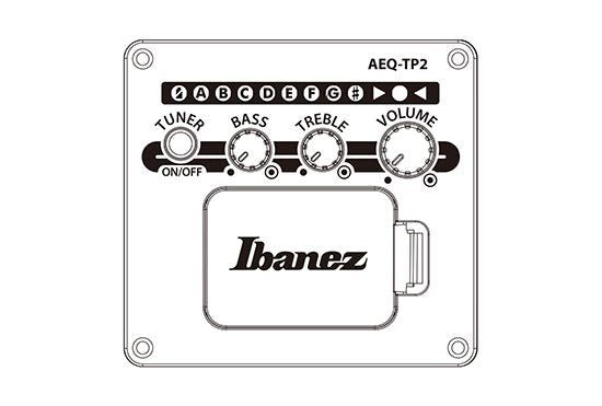 Ibanez AAD54E-OMH