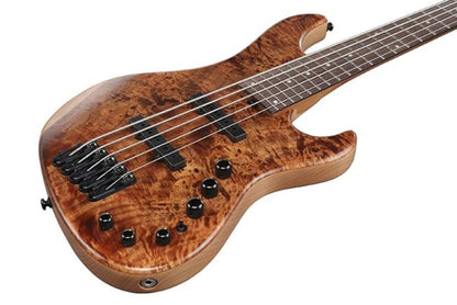 Ibanez MDM1605-DTW bassokitara pussilla