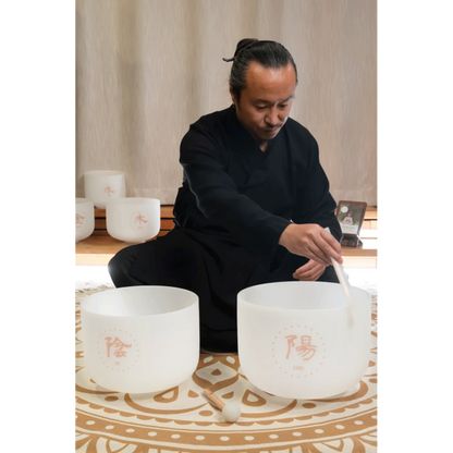 Meinl Sonic Energy TCM Crystal äänimaljasetti YIN & YAN