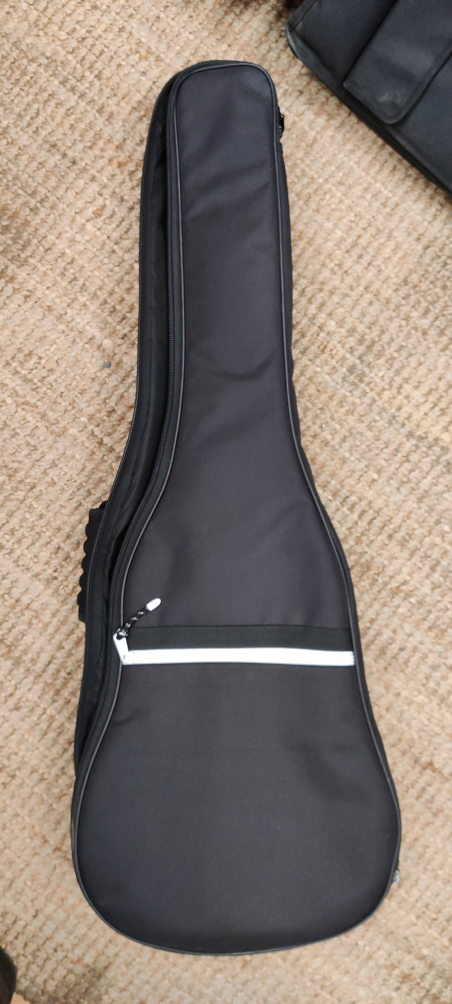 Art & Lutherie parlor acoustic guitar w/ bag (used)