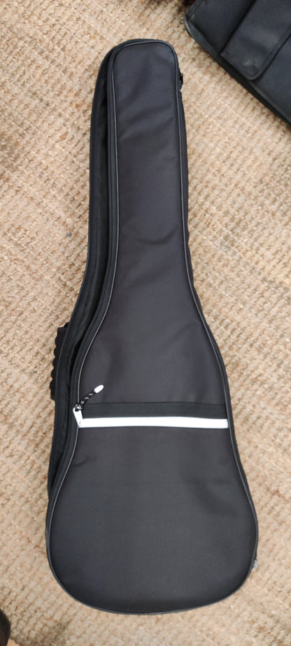 Art & Lutherie parlor acoustic guitar w/ bag (used)
