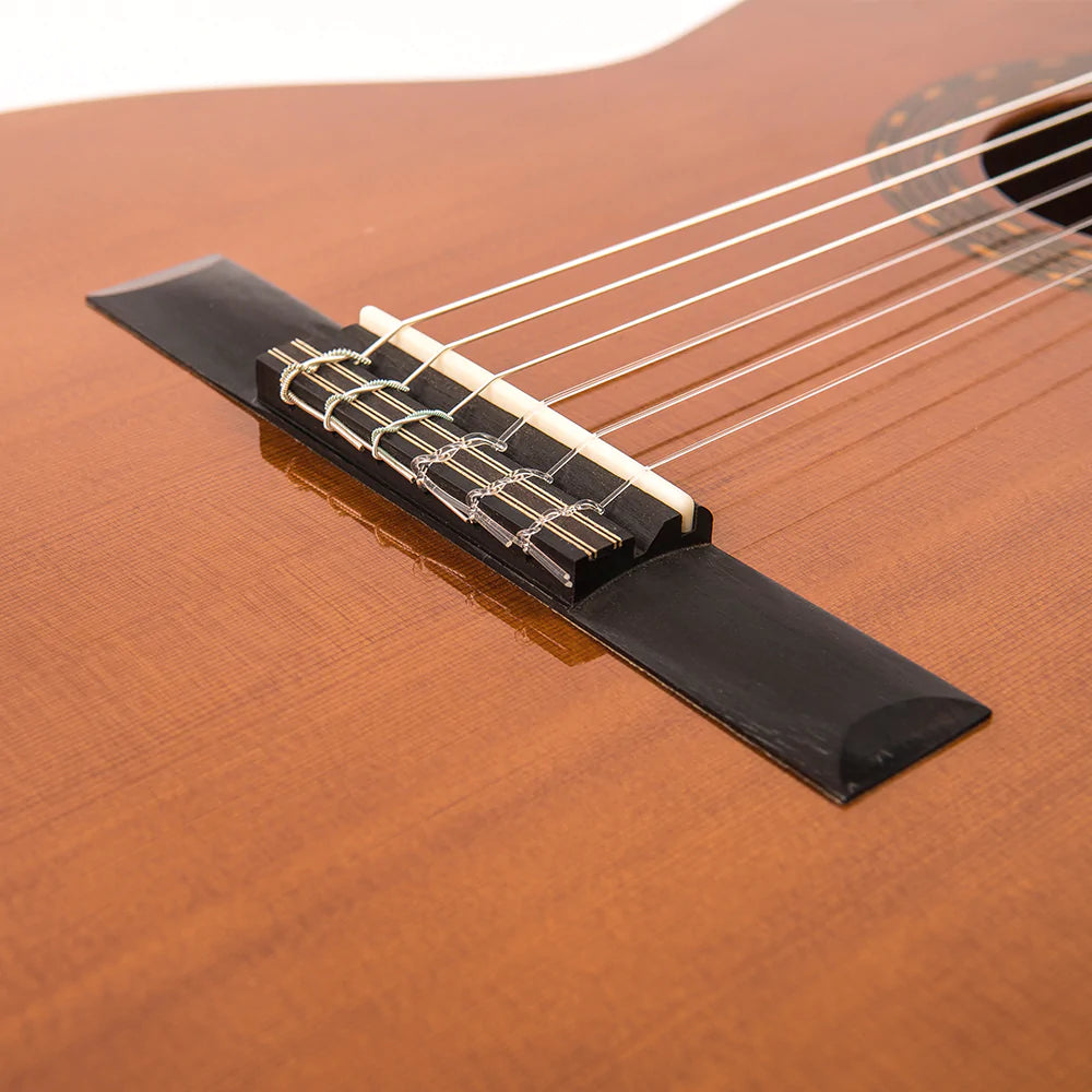 Santos 2025 martinez guitar