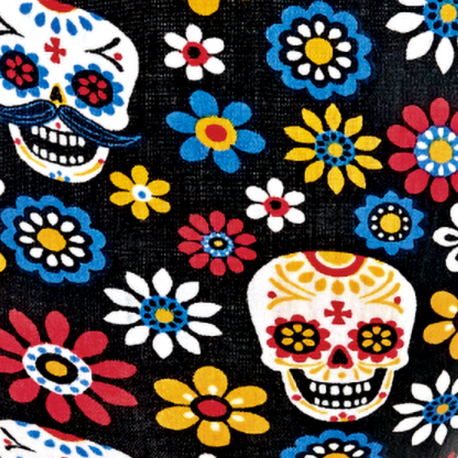 Meinl 10" Alpine Djembe Day of the Dead - Aron Soitin