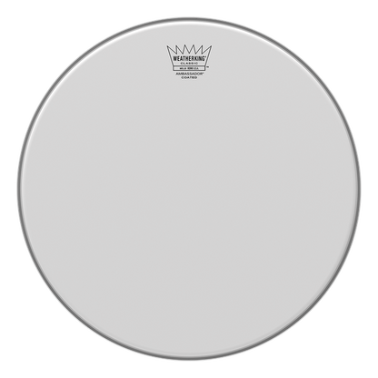 Remo 14" Classic Fit Ambassador Coated - Aron Soitin