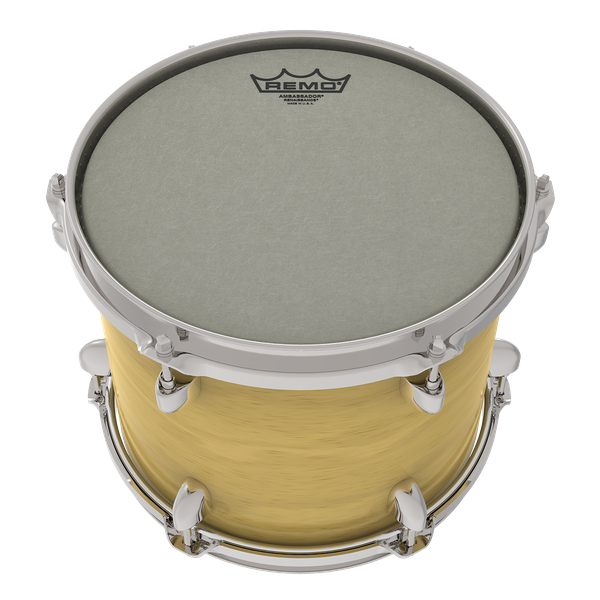 Remo 13" Ambassador Renaissance - Aron Soitin