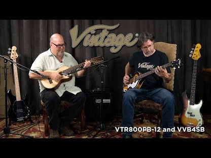 Vintage VTR800PB-12 Viator Paul Brett 12-kielinen elektroakustinen matkakitara