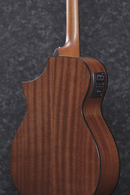 Ibanez AEWC11-TCB - Aron Soitin