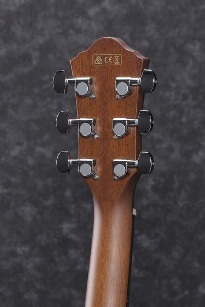 Ibanez AEWC11-TCB - Aron Soitin