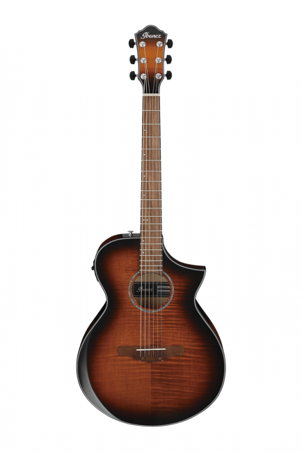 Ibanez AEWC400-AMS - Aron Soitin
