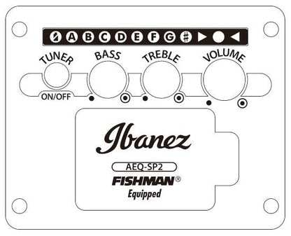 Ibanez AEWC400-AMS - Aron Soitin
