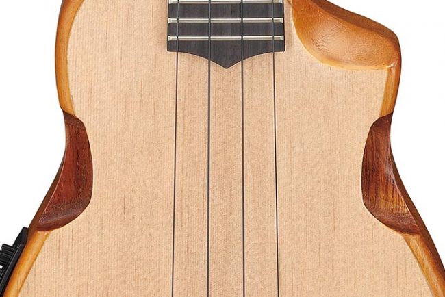 Ibanez  AUC14-OVL ukulele pussila - Aron Soitin