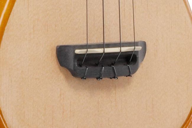 Ibanez  AUC14-OVL ukulele pussila - Aron Soitin