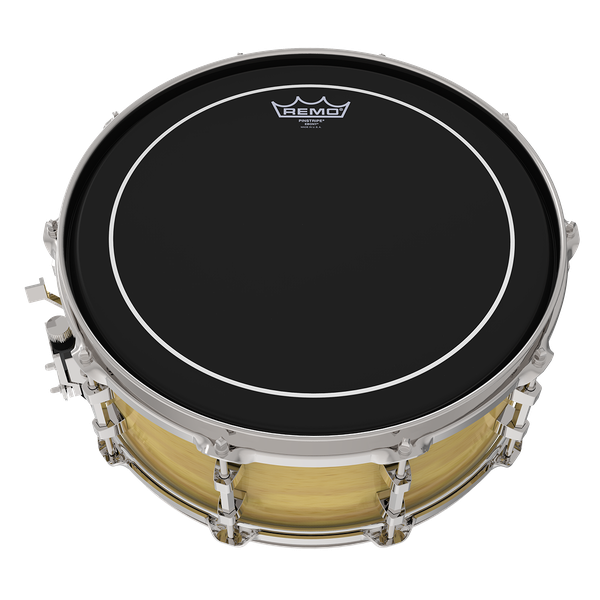 Remo 14" Pinstripe Ebony - Aron Soitin